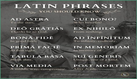 A Profile Of A Latin Beauty